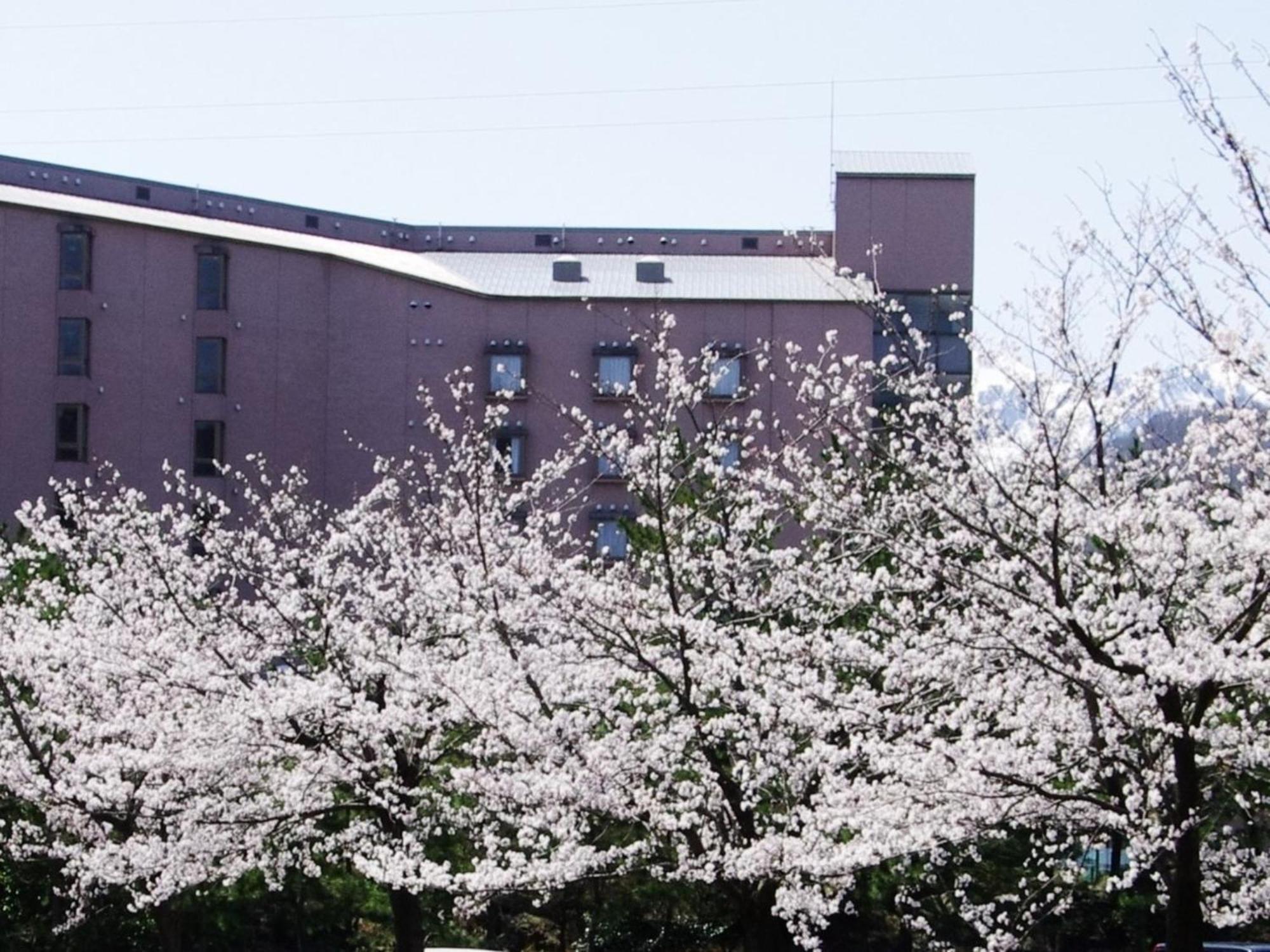 Hotel Kunitomi Annex - Vacation Stay 12072V Itoigawa Eksteriør bilde